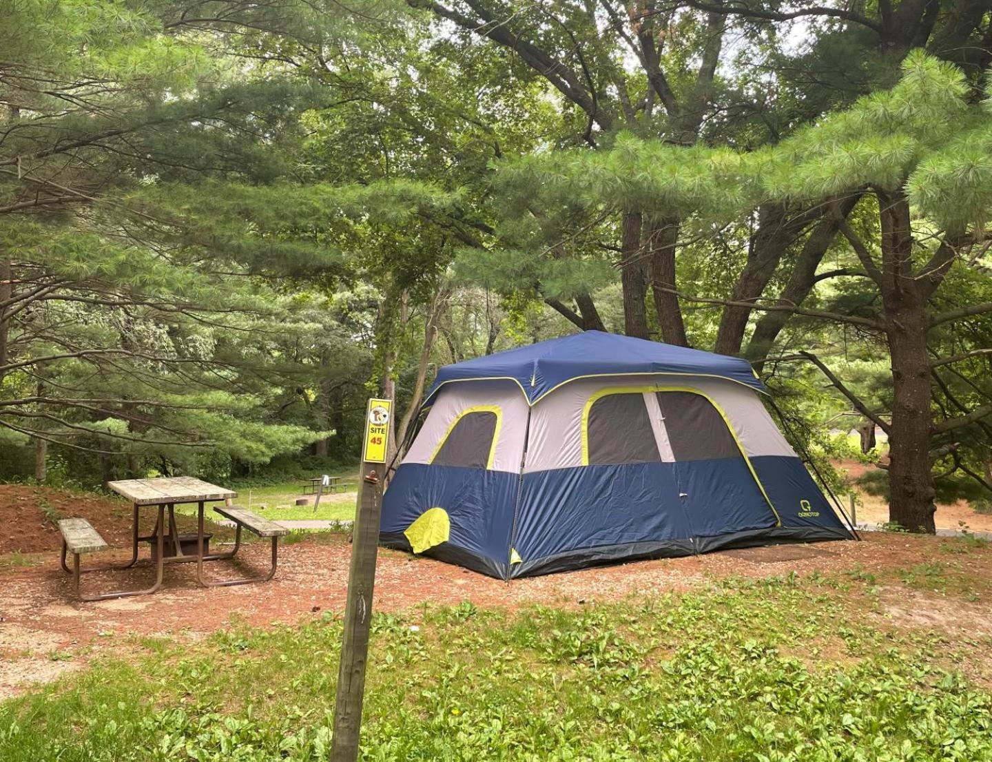 Yogi Bear'S Jellystone Park Camp-Resort Wisconsin Dells Lake Delton Bagian luar foto